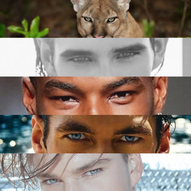 The Advanced Hunter Eyes Guide